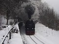 99 7238 auf Bergfahrt zum Brocken